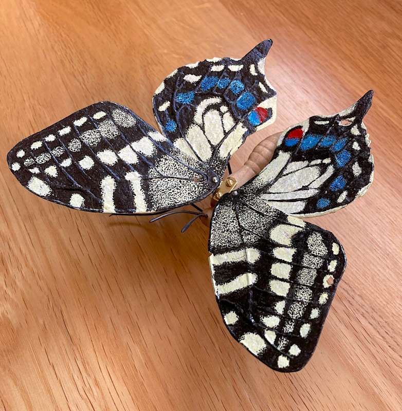 Swallow Tail II